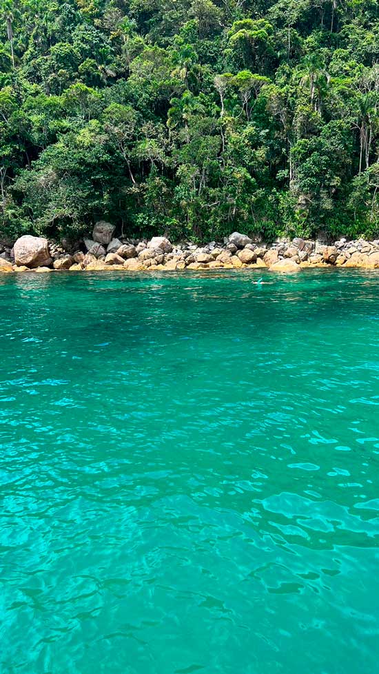 This image for Image Layouts addon